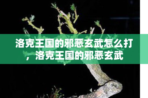 洛克王国的邪恶玄武怎么打，洛克王国的邪恶玄武