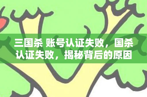 三国杀 账号认证失败，国杀认证失败，揭秘背后的原因与解决方案