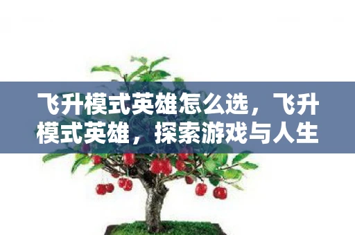 飞升模式英雄怎么选，飞升模式英雄，探索游戏与人生的无限可能