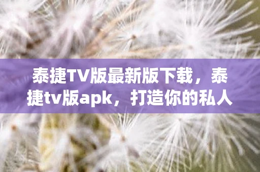 泰捷TV版最新版下载，泰捷tv版apk，打造你的私人影院