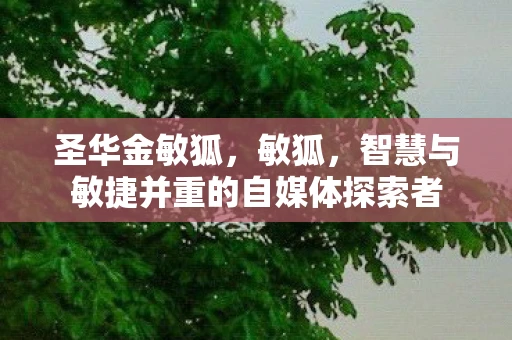 圣华金敏狐，敏狐，智慧与敏捷并重的自媒体探索者