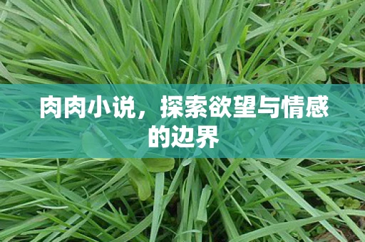 肉肉小说，探索欲望与情感的边界