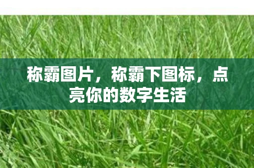 称霸图片,称霸下图标,点亮你的数字生活 称霸图片,称霸下图标,点亮你的数字生活