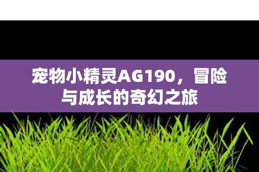 宠物小精灵AG190图片