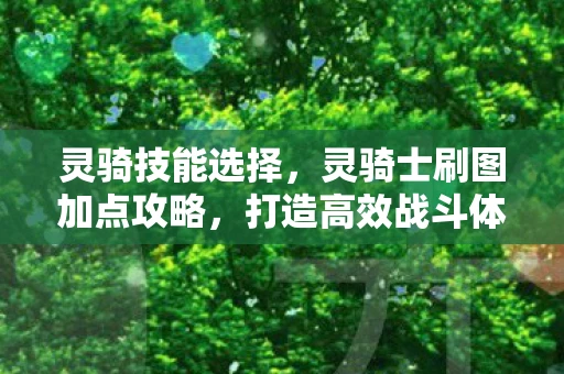 灵骑技能选择,灵骑士刷图加点攻略,打造高效战斗体验 灵骑技能选择,灵骑士刷图加点攻略,打造高效战斗体验