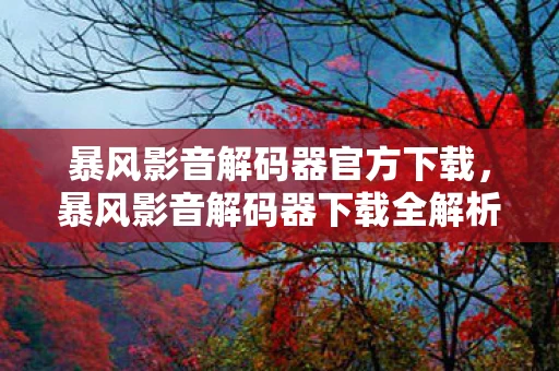 暴风影音解码器官方下载，暴风影音解码器下载全解析，如何轻松获取并安装