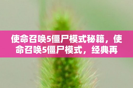 使命召唤5僵尸模式秘籍,使命召唤5僵尸模式,经典再现,恐怖与刺激的完美结合 使命召唤5僵尸模式秘籍,使命召唤5僵尸模式,经典再现,恐怖与刺激的完美结合