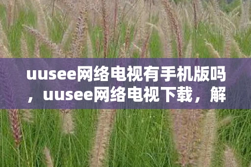 uusee网络电视有手机版吗，uusee网络电视下载，解锁高清娱乐新体验