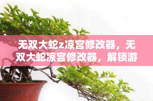 无双大蛇z凉宫修改器，无双大蛇凉宫修改器，解锁游戏新境界的必备神器