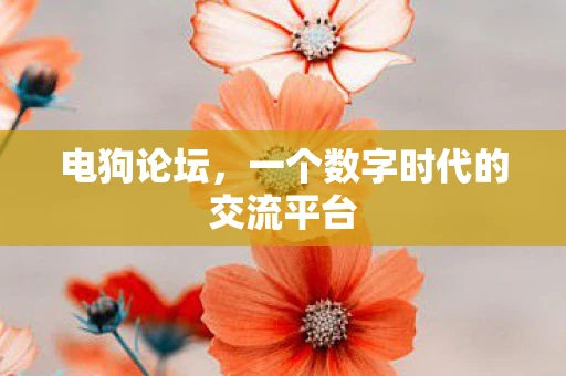 电狗论坛，一个数字时代的交流平台