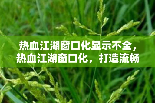 热血江湖窗口化显示不全，热血江湖窗口化，打造流畅游戏体验的必备技巧