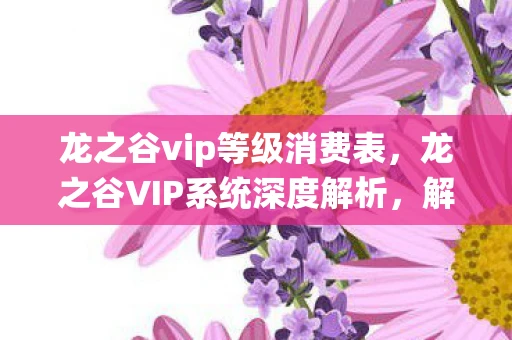 龙之谷vip等级消费表，龙之谷VIP系统深度解析，解锁游戏新体验