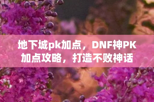 地下城pk加点，DNF神PK加点攻略，打造不败神话