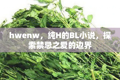 hwenw，纯H的BL小说，探索禁忌之爱的边界