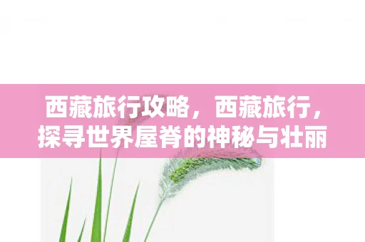 西藏旅行攻略，西藏旅行，探寻世界屋脊的神秘与壮丽