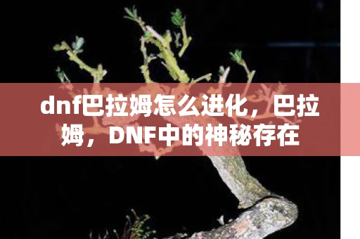 dnf巴拉姆怎么进化，巴拉姆，DNF中的神秘存在