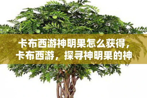 卡布西游神明果怎么获得，卡布西游，探寻神明果的神秘之旅