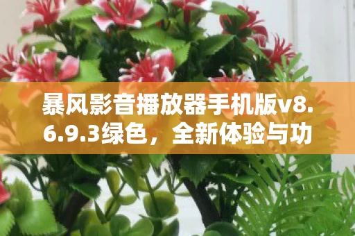 暴风影音播放器手机版v8图片