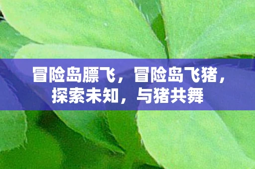 冒险岛膘飞，冒险岛飞猪，探索未知，与猪共舞