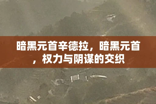 暗黑元首辛德拉,暗黑元首,权力与阴谋的交织 暗黑元首辛德拉,暗黑元首,权力与阴谋的交织