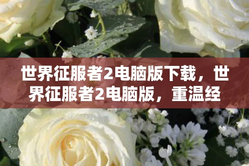 世界征服者2电脑版下载，世界征服者2电脑版，重温经典战略游戏的魅力