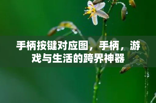 手柄按键对应图,手柄,游戏与生活的跨界神器 手柄按键对应图,手柄,游戏与生活的跨界神器