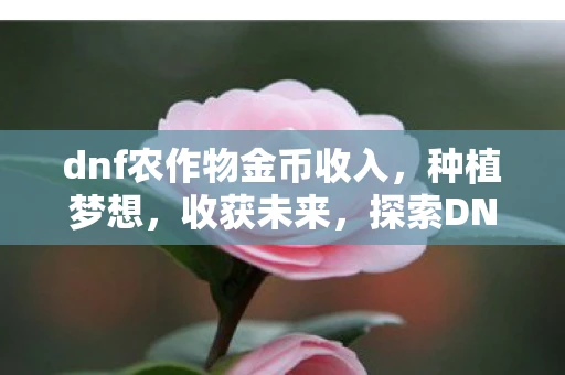 dnf农作物金币收入，种植梦想，收获未来，探索DNF中的农作物世界