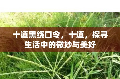 十道黑绕口令，十道，探寻生活中的微妙与美好