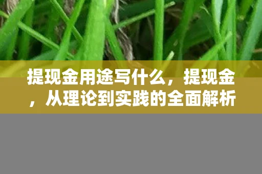 提现金用途写什么,提现金,从理论到实践的全面解析 提现金用途写什么,提现金,从理论到实践的全面解析
