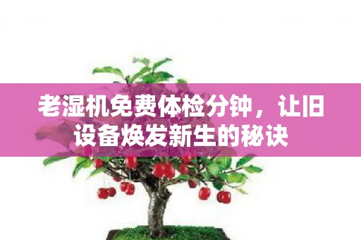 老湿机免费体检分钟，让旧设备焕发新生的秘诀