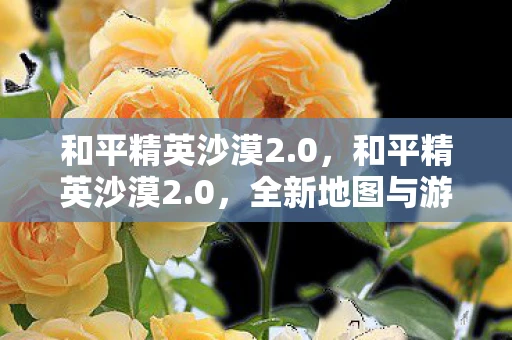 和平精英沙漠2.0，和平精英沙漠2.0，全新地图与游戏机制的深度解析