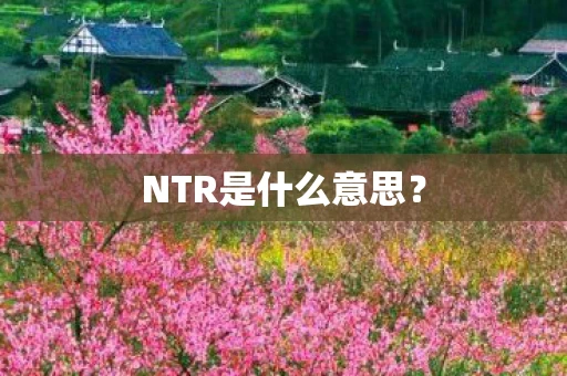 NTR是什么意思？