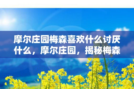 摩尔庄园梅森喜欢什么讨厌什么，摩尔庄园，揭秘梅森先生的喜好