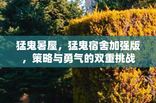猛鬼暑屋，猛鬼宿舍加强版，策略与勇气的双重挑战