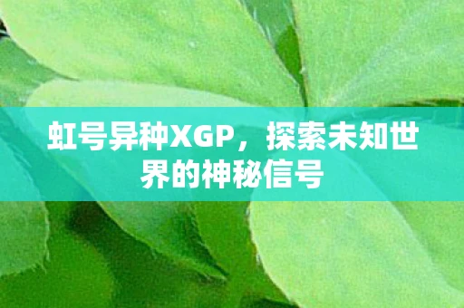 虹号异种XGP，探索未知世界的神秘信号