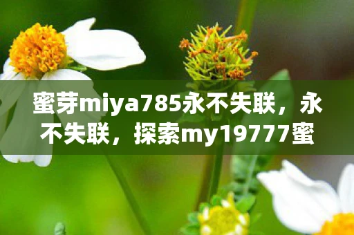 蜜芽miya785永不失联，永不失联，探索my19777蜜芽的奥秘