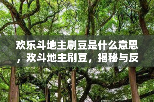 欢乐斗地主刷豆是什么意思，欢斗地主刷豆，揭秘与反思