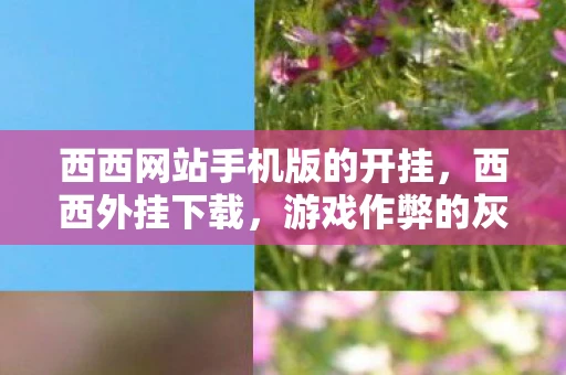 西西网站手机版的开挂，西西外挂下载，游戏作弊的灰色地带