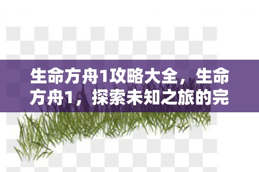 生命方舟1攻略大全，生命方舟1，探索未知之旅的完全攻略