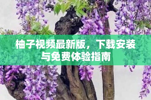 下载安装与免费体验指南图片