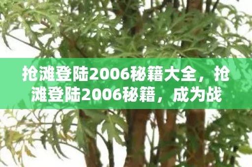 抢滩登陆2006秘籍大全,抢滩登陆2006秘籍,成为战场上的不败神话 抢滩登陆2006秘籍大全,抢滩登陆2006秘籍,成为战场上的不败神话