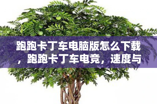 跑跑卡丁车电脑版怎么下载,跑跑卡丁车电竞,速度与激情的碰撞 跑跑卡丁车电脑版怎么下载,跑跑卡丁车电竞,速度与激情的碰撞