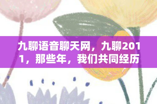九聊语音聊天网,九聊2011,那些年,我们共同经历的网络热潮 九聊语音聊天网,九聊2011,那些年,我们共同经历的网络热潮
