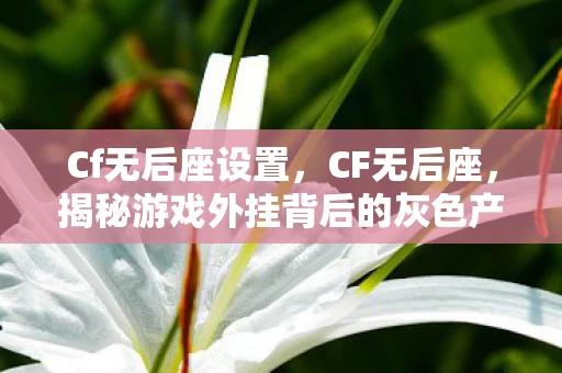 Cf无后座设置，CF无后座，揭秘游戏外挂背后的灰色产业链