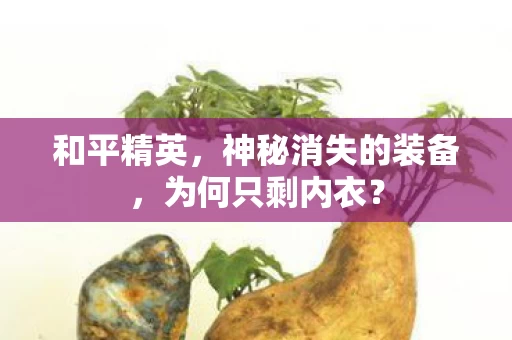 神秘消失的装备图片
