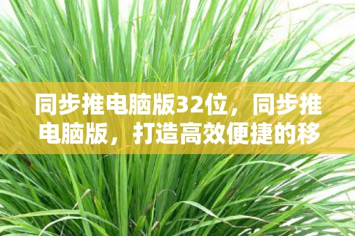 同步推电脑版32位，同步推电脑版，打造高效便捷的移动应用管理新体验