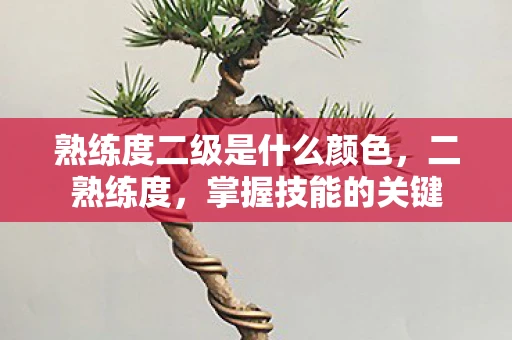 熟练度二级是什么颜色，二熟练度，掌握技能的关键