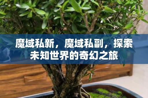 魔域私新,魔域私副,探索未知世界的奇幻之旅 魔域私新,魔域私副,探索未知世界的奇幻之旅