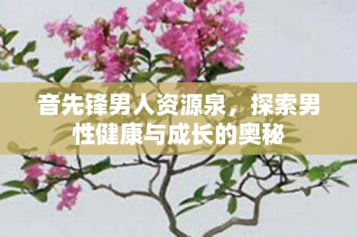 音先锋男人资源泉,探索男性健康与成长的奥秘 音先锋男人资源泉,探索男性健康与成长的奥秘