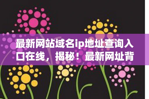 最新网站域名ip地址查询入口在线,揭秘!最新网址背后的秘密与趋势 最新网站域名ip地址查询入口在线,揭秘!最新网址背后的秘密与趋势